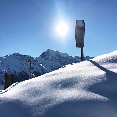 Gerstl’s Schneeschuhwanderung mit unserem Wander-Guide Andreas. ???? Von Trafoj bei der Furkelhütte mit direktem Blick auf König Ortler, dem höchsten Berg in Südtirol mit 3.900 m ????
#dasgerstlfeeling #dasgerstl #südtirol #vinschgau #nature #natur #pur #wow #good #goddvibes #mountain #mountainlovers @belvitaleadingwellnesshotels @vitalpinahotels @visit.obervinschgau @visitsouthtyrol