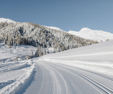 Settimana dedicata allo sci di fondo a gennaio e febbraio